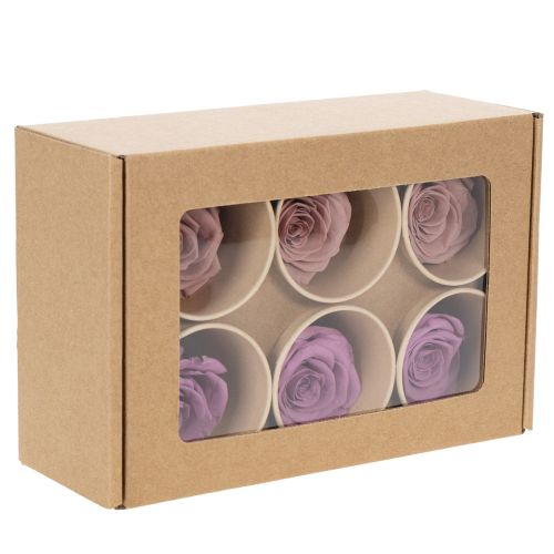 Article Roses stabilisées, cadeau romantique, roses longue durée pour les occasions spéciales, 5 cm, lot de 6