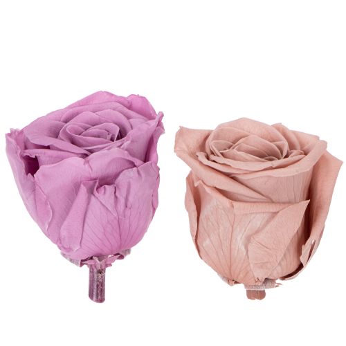 Article Roses stabilisées, cadeau romantique, roses longue durée pour les occasions spéciales, 5 cm, lot de 6