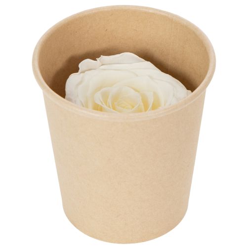 Article Têtes de roses stabilisées, décoration de table durable pour une ambiance romantique, décoration de mariage, 5 cm, lot de 6