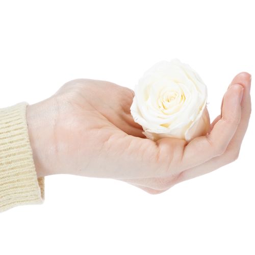 Article Têtes de roses stabilisées, décoration de table durable pour une ambiance romantique, décoration de mariage, 5 cm, lot de 6