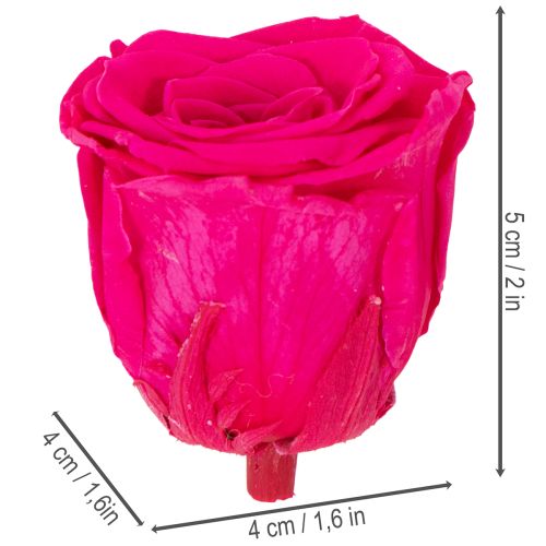 Article Décorations de roses stabilisées, véritables fleurs pour la décoration de table, floraisons uniques et durables, 5 cm, lot de 6