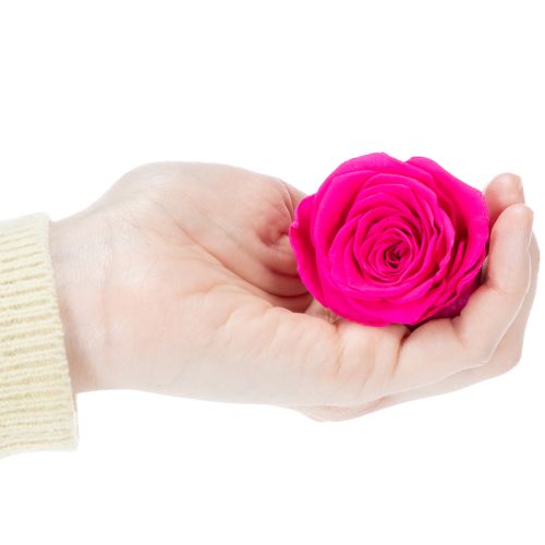 Article Décorations de roses stabilisées, véritables fleurs pour la décoration de table, floraisons uniques et durables, 5 cm, lot de 6