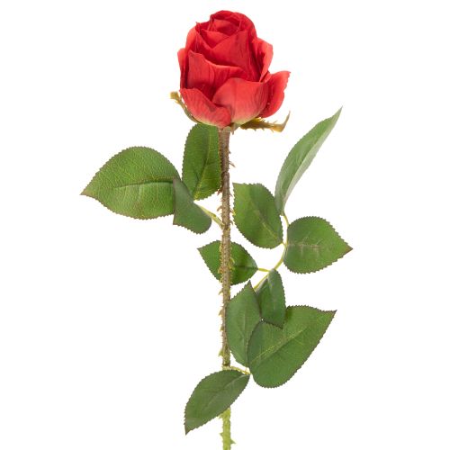 Branche de rose en soie, rose artificielle rouge 72 cm, lot de 3 acheter | Floristik24.fr