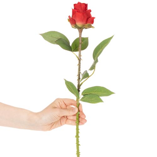 Branche de rose en soie, rose artificielle rouge 72 cm, lot de 3 | Floristik24.fr