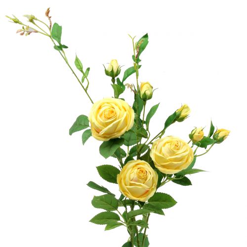 Floristik24 Branche de rose jaune 100cm