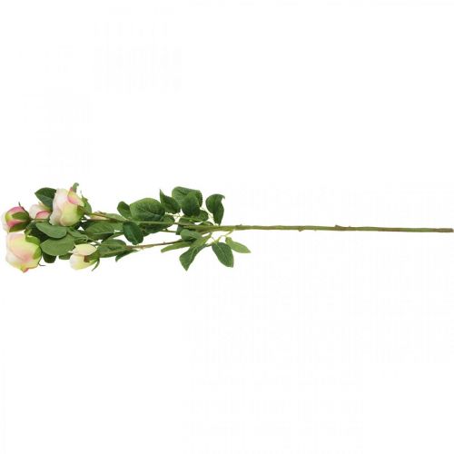 Article Branche de rose, roses en soie, branche artificielle rose, crème L66cm Ø3/5cm