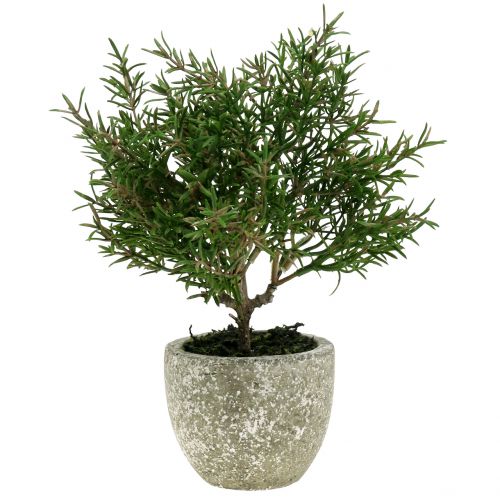 Floristik24 Buisson de romarin artificiel en pot de 23cm