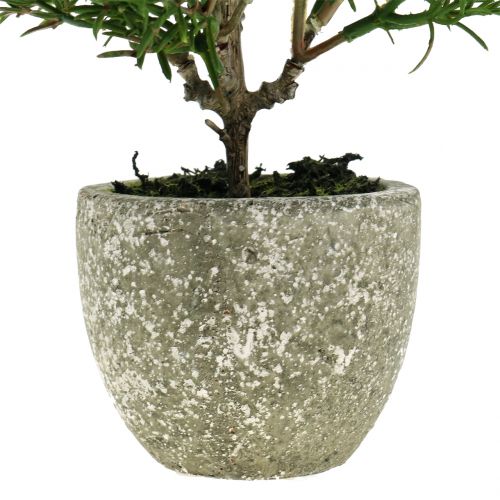 Floristik24 Buisson de romarin artificiel en pot de 23cm