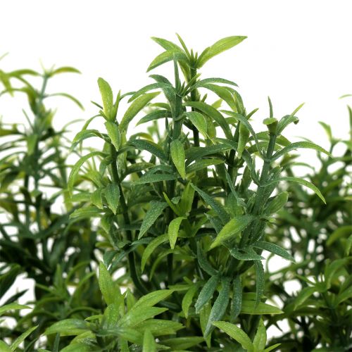 Floristik24 Branche de romarin artificielle vert 35cm 3pcs