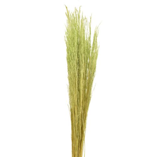Article Herbe courbée Agrostis Capillaris Graminées Sèches Vert 65cm 80g