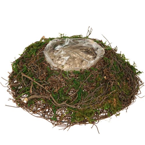 Floristik24 Jardinière ronde en mousse avec feuille Ø20cm H7cm