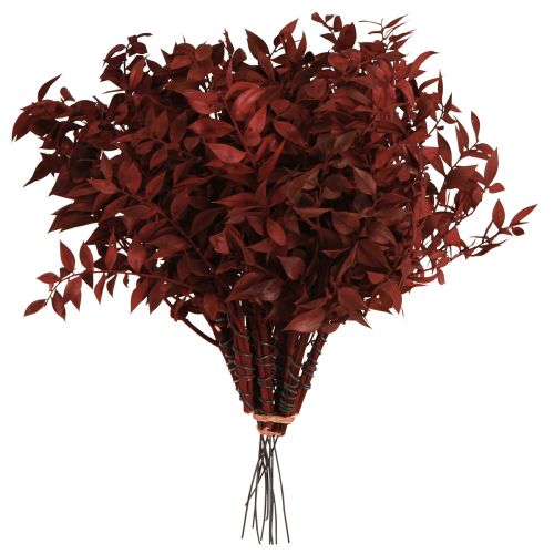 Article Branches décoratives Ruscus Rouge séchées sur fil 20cm 1 bouquet