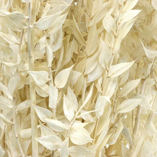 Article Brindilles de Ruscus brindilles déco fleurs séchées crème 200g