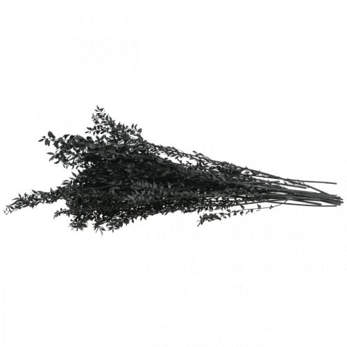 Floristik24 Branches de Ruscus branches décoratives fleurs séchées noires 200g