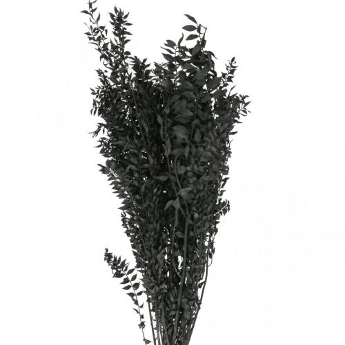 Floristik24 Branches de Ruscus branches décoratives fleurs séchées noires 200g