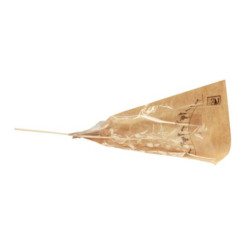Article Branche décorative séchée de Ruscus Ruscus blanchi 62cm 1 pc