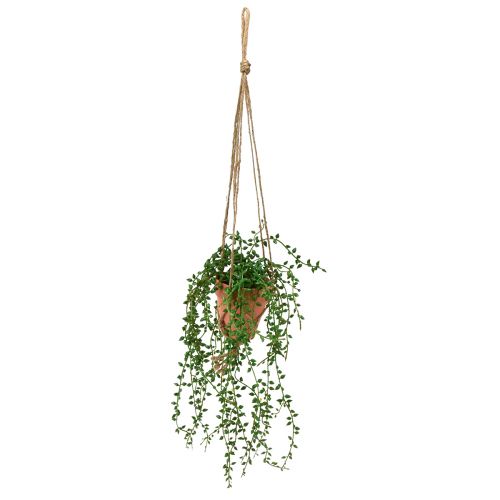 Floristik24 Plantes succulentes artificielles suspendues en pot 34 cm