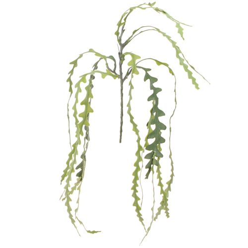 Feuille de scie artificielle Cactus Epiphyllum anguliger L68cm 3 pcs