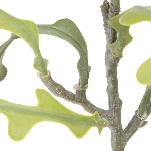 Article Feuille de scie artificielle Cactus Epiphyllum anguliger L68cm 3 pcs