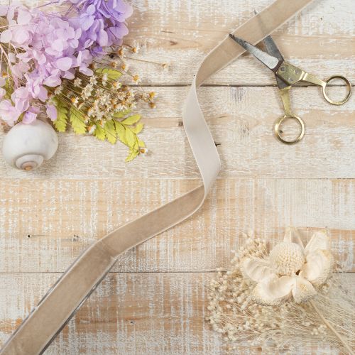 Ruban en velours beige 20 mm x 10 m pour emballage et décoration | Floristik24.fr