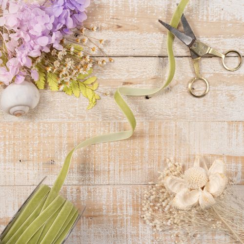 Ruban en velours 10 mm x 20 m pour décorations et projets créatifs, vert sauge | Floristik24.fr