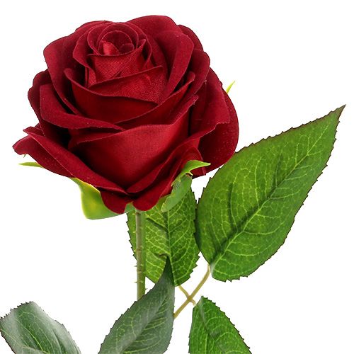Article Roses de velours rouge 65cm 6P