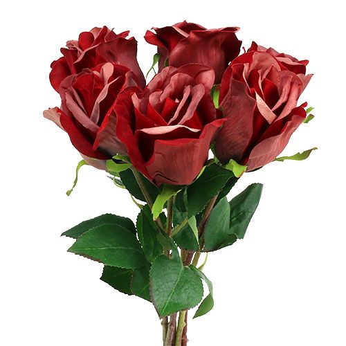 Floristik24 Rose de velours rouge Ø8cm L45cm 6P