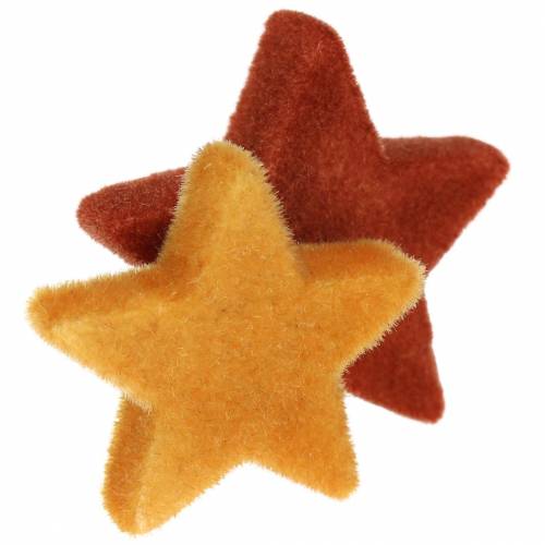 Floristik24 Saupoudrer décoration star mix curry floqué, rooibos 4cm/5cm 40p