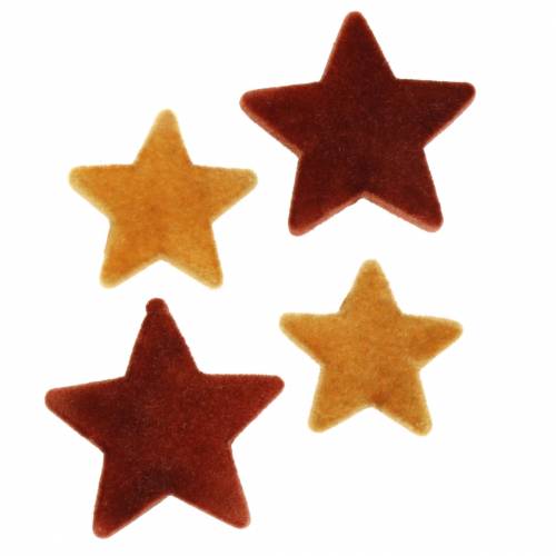 Saupoudrer décoration star mix curry floqué, rooibos 4cm/5cm 40p