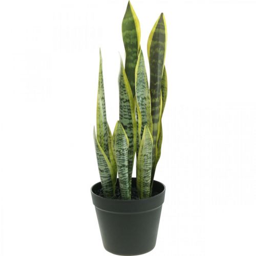 Floristik24 Sansevieria, fleur artificielle, noeud chanvre en pot H50cm Ø14cm