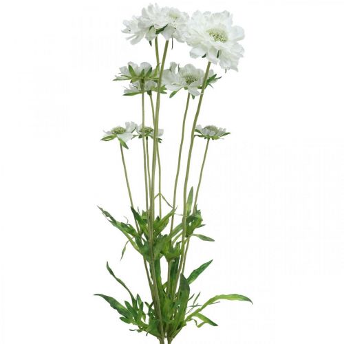 Floristik24.fr Scabious fleur artificielle blanche fleur de jardin H64cm  bouquet avec 3pcs - acheter pas cher en ligne