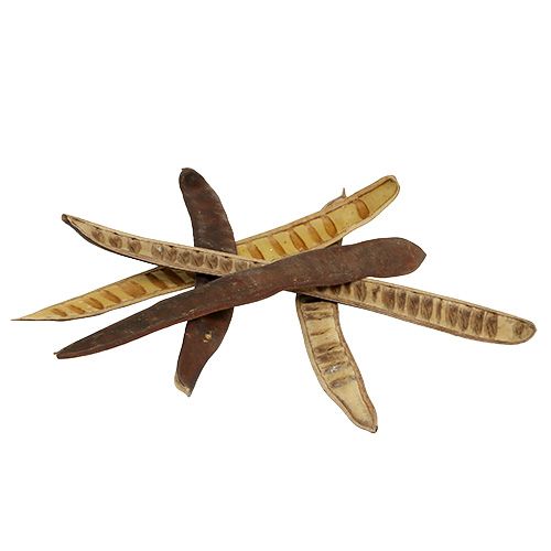 Floristik24 Pod Scaletta naturel 25cm - 50cm 25pcs