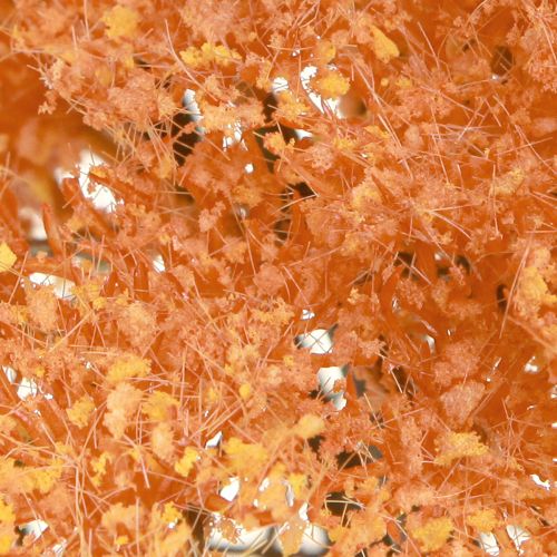Article Fleurs artificielles d'achillée millefeuille Achillea artificielle orange 30cm 6 pcs