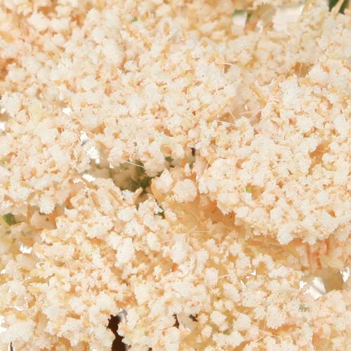 Article Achillée millefeuille artificielle crème Achillea fleurs artificielles 30cm 6 pcs