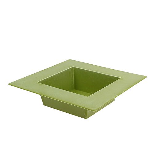 Floristik24 Jardinière carrée vert clair 20cm x 20cm