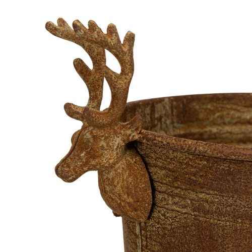 Coupe décorative ovale en métal rouillé avec têtes de cerf, 41 cm | Floristik24.fr