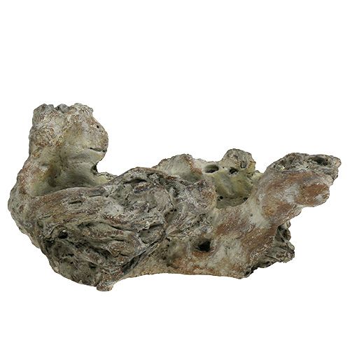 Floristik24 Bol bois racine 25,5cm x 14cm H11,5cm