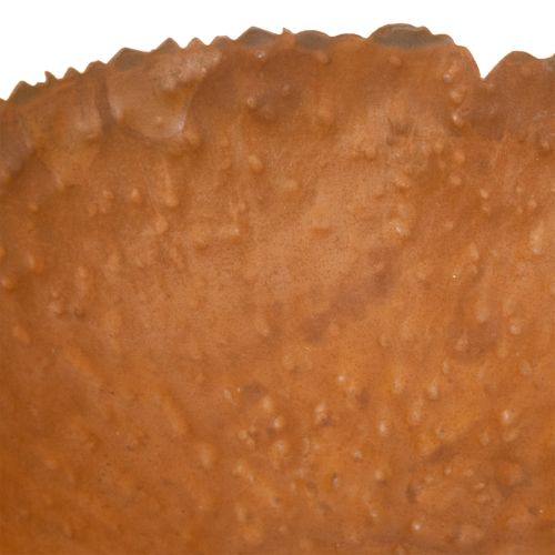 Coupe ronde en métal effet rouille surface texturée 20 cm | Floristik24.fr