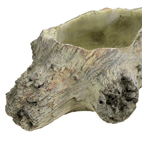 Floristik24 Bol à planter 30cm x 13cm H8.5cm