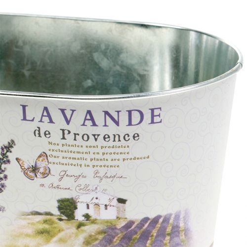 Floristik24 Bol de plantation Lavande ovale 22,5cm x 13,5cm H11cm