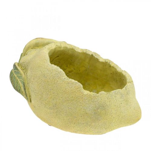 Bol en béton méditerranéen, citron décoratif, jardinière, jardinière L18,5cm