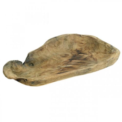 Bol décoratif en bois de Paulownia, décoration de table, jardinière L34cm H5cm