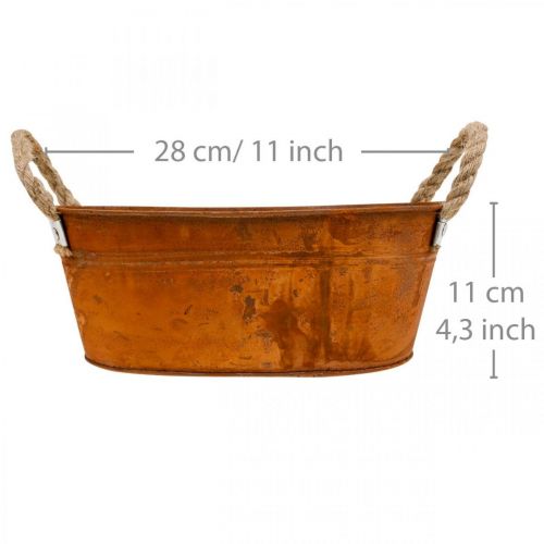 Floristik24 Cache-pot avec anses, coupe à herbes, décoration automne, patine L28cm H11cm