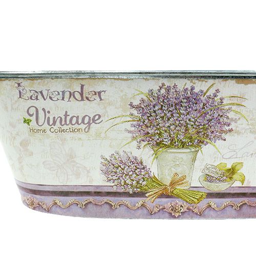 Floristik24 Coupe décorative avec motif de lavande lot de 3