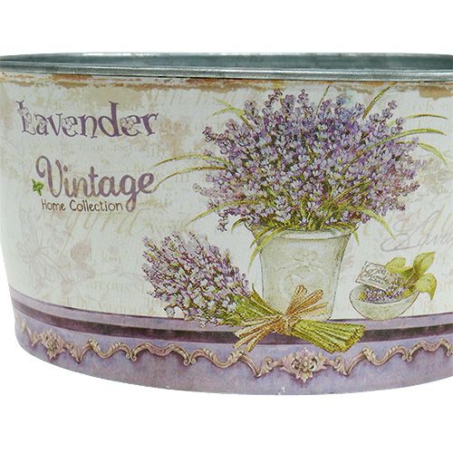 Floristik24 Bol de plantation 3 sets rond lavande Ø17-23cm