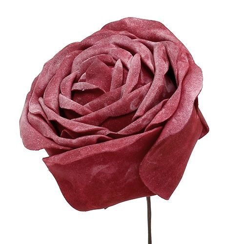 Floristik24 Mousse rose mix Ø10cm 6pcs