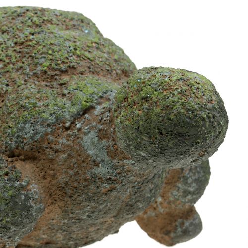 Floristik24 Tortue décorative moussue 30 x 18 cm H. 15 cm