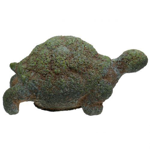 Floristik24 Tortue décorative moussue 30 x 18 cm H. 15 cm
