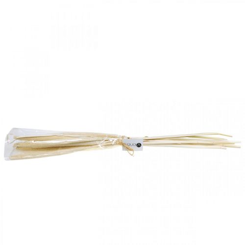 Floristik24 Bouquet de roseau déco roseau séché blanchi H60cm