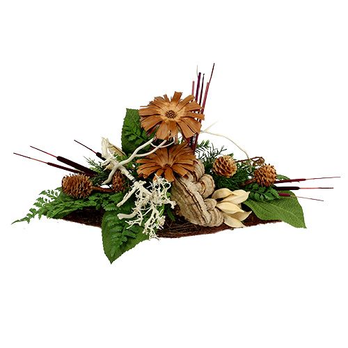 Article Epis de roseau naturels Rouge bruyère Tailles diverses 100pcs